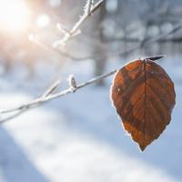 the effects of winter on solar thermal energy