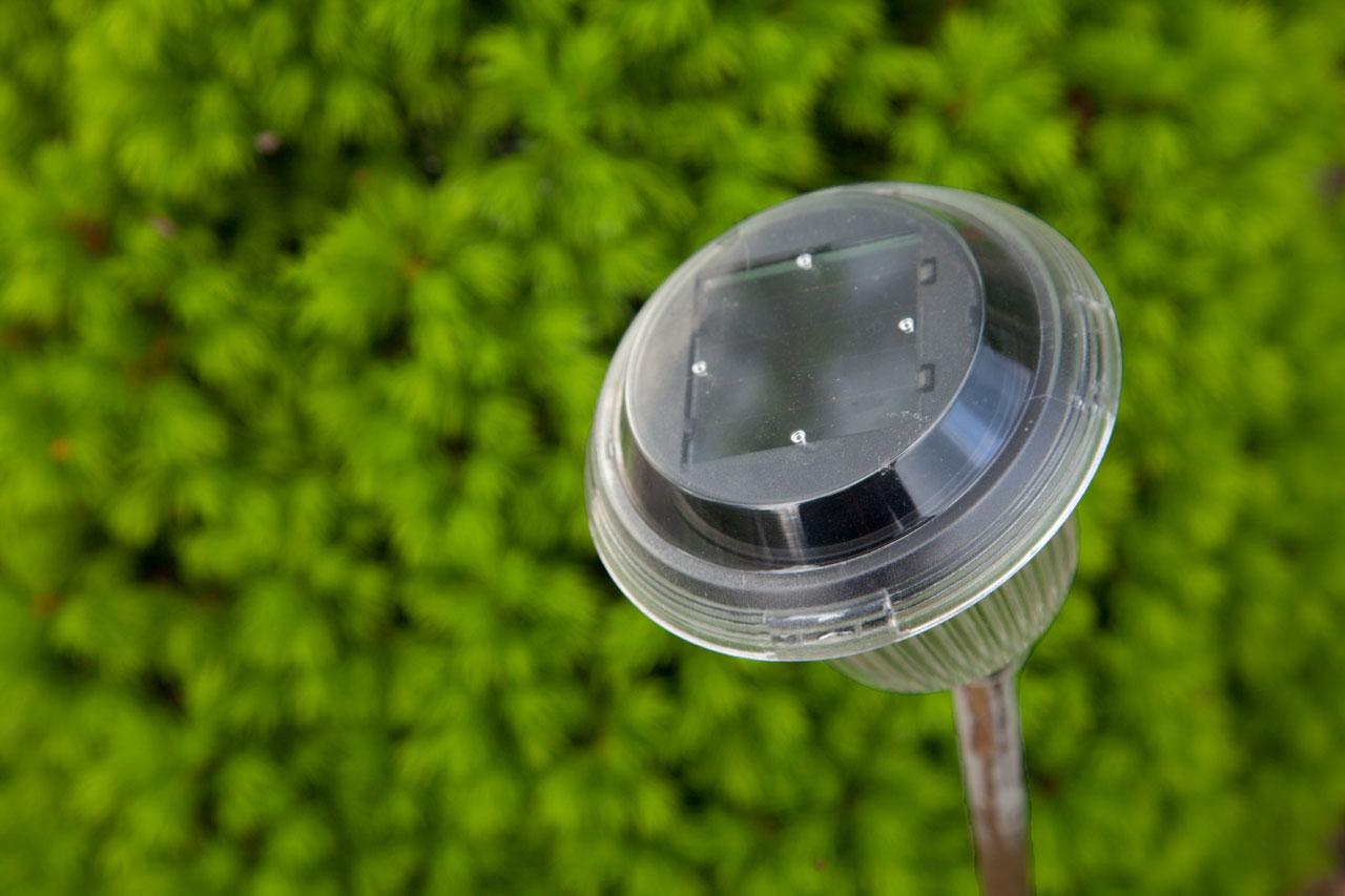 solar powered lights in a garden at night