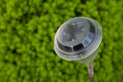 How Do Solar Garden Lights Work?